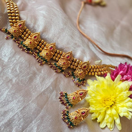 Narayani Kanthi