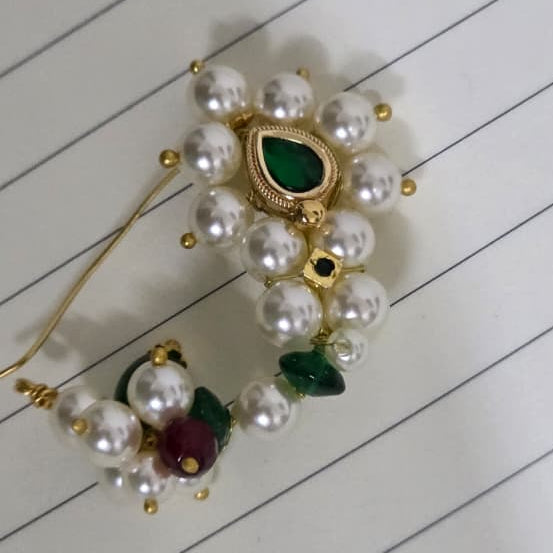 The Anusuya Raje Royal Nath