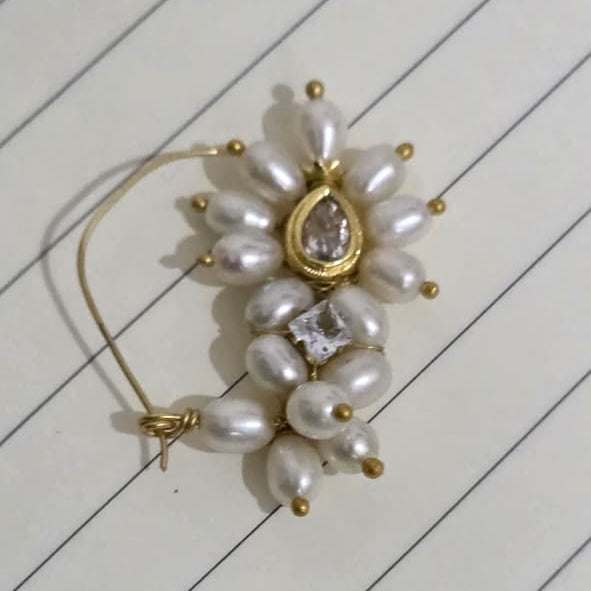 Shweta Hyderabadi Pearl Nath