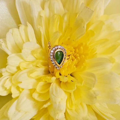 Dhruvi Nosepin-Green