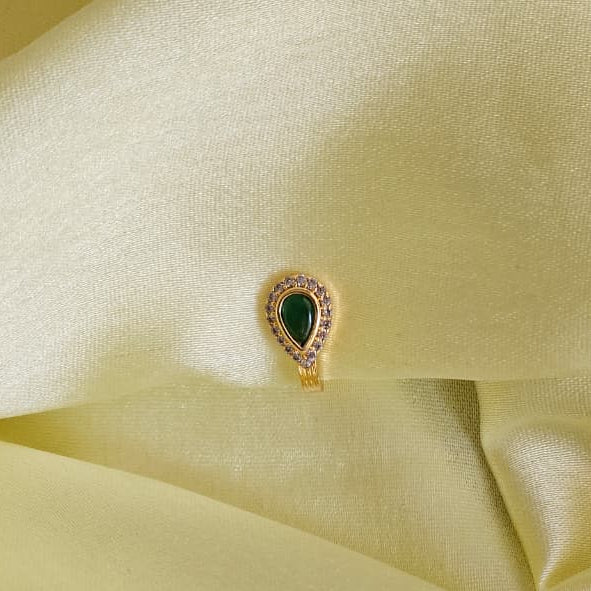 Dhruvi Nosepin-Green